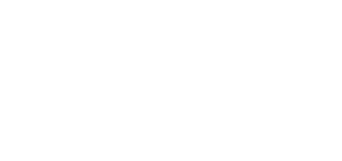 AUTO IBERICA
